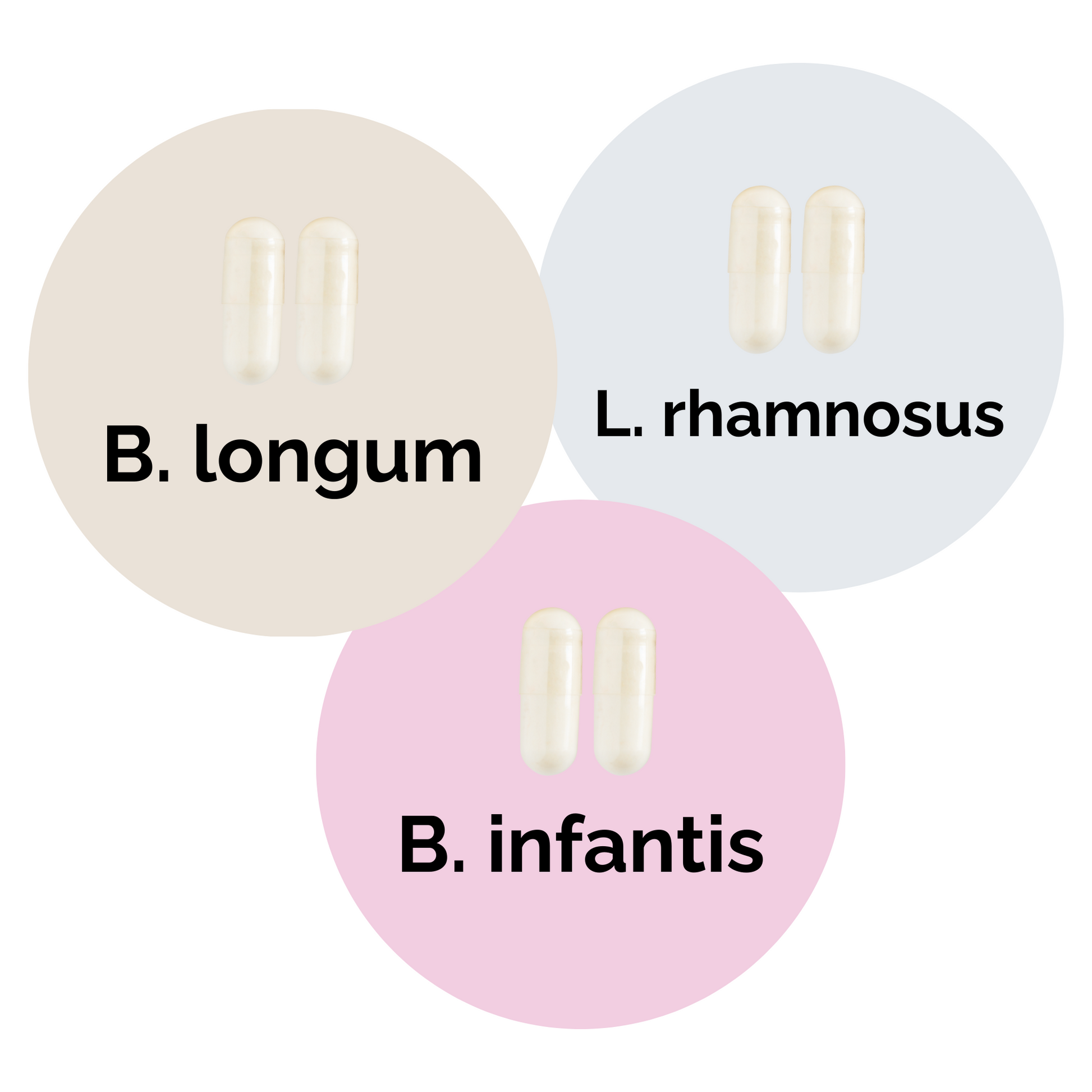 L. rhamnosus + B. infantis + B. longum | 優格發酵劑套裝 | 啟動菌種 | 3入組合