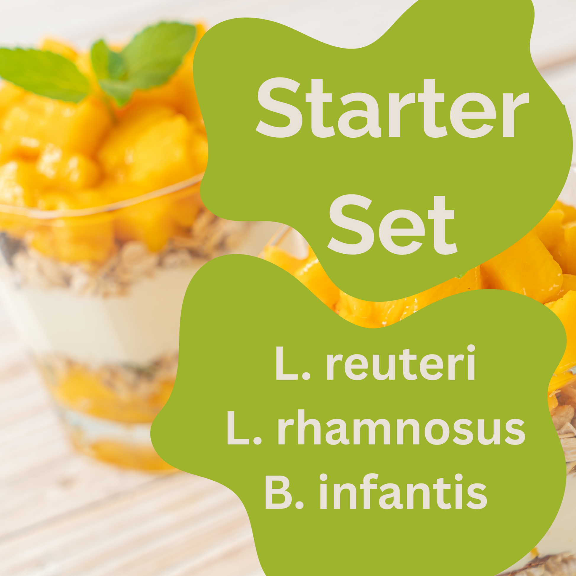 Starter set L. reuteri, L. rhamnosus, B. infantis yogurt | Darmglück
