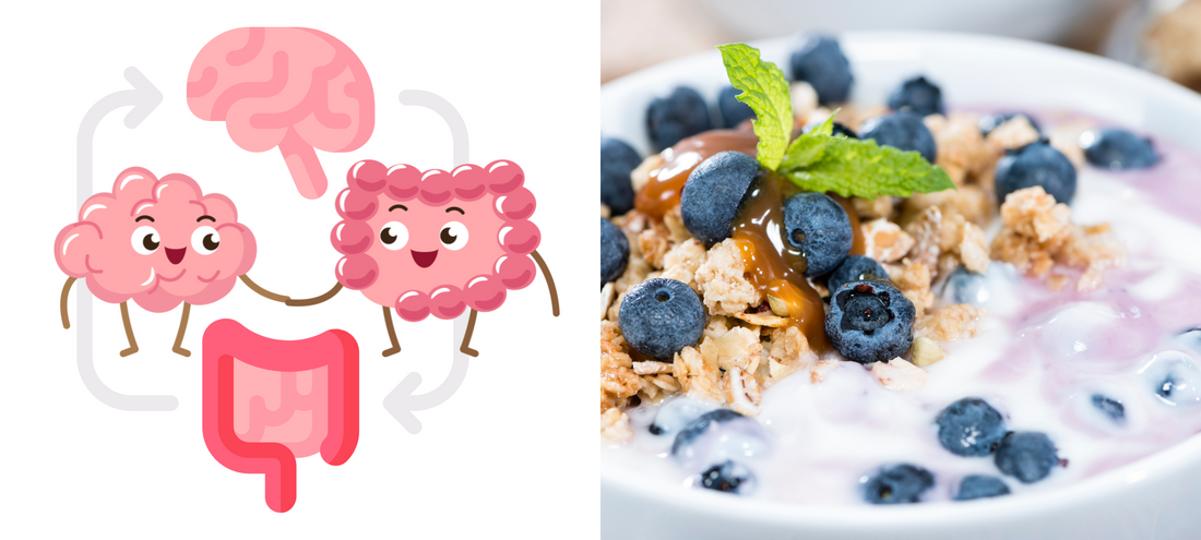 Das Mikrobiom wieder aufbauen mit verlorenen Arten – Mit Joghurt aus L. brevis, L. rhamnosus, B. subtilis, B. clausii