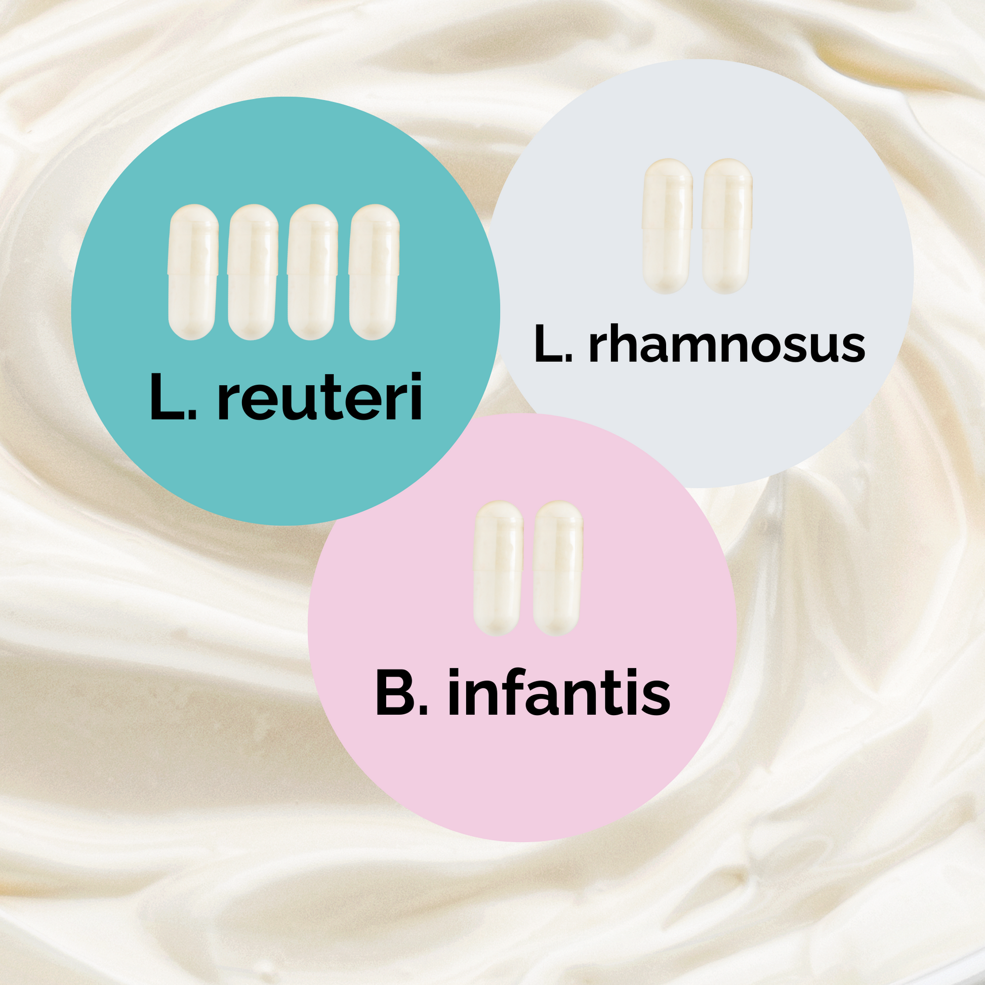 L. reuteri + L. rhamnosus + B. infantis | 優格啟動套裝 | 啟動菌種 | 3入組合