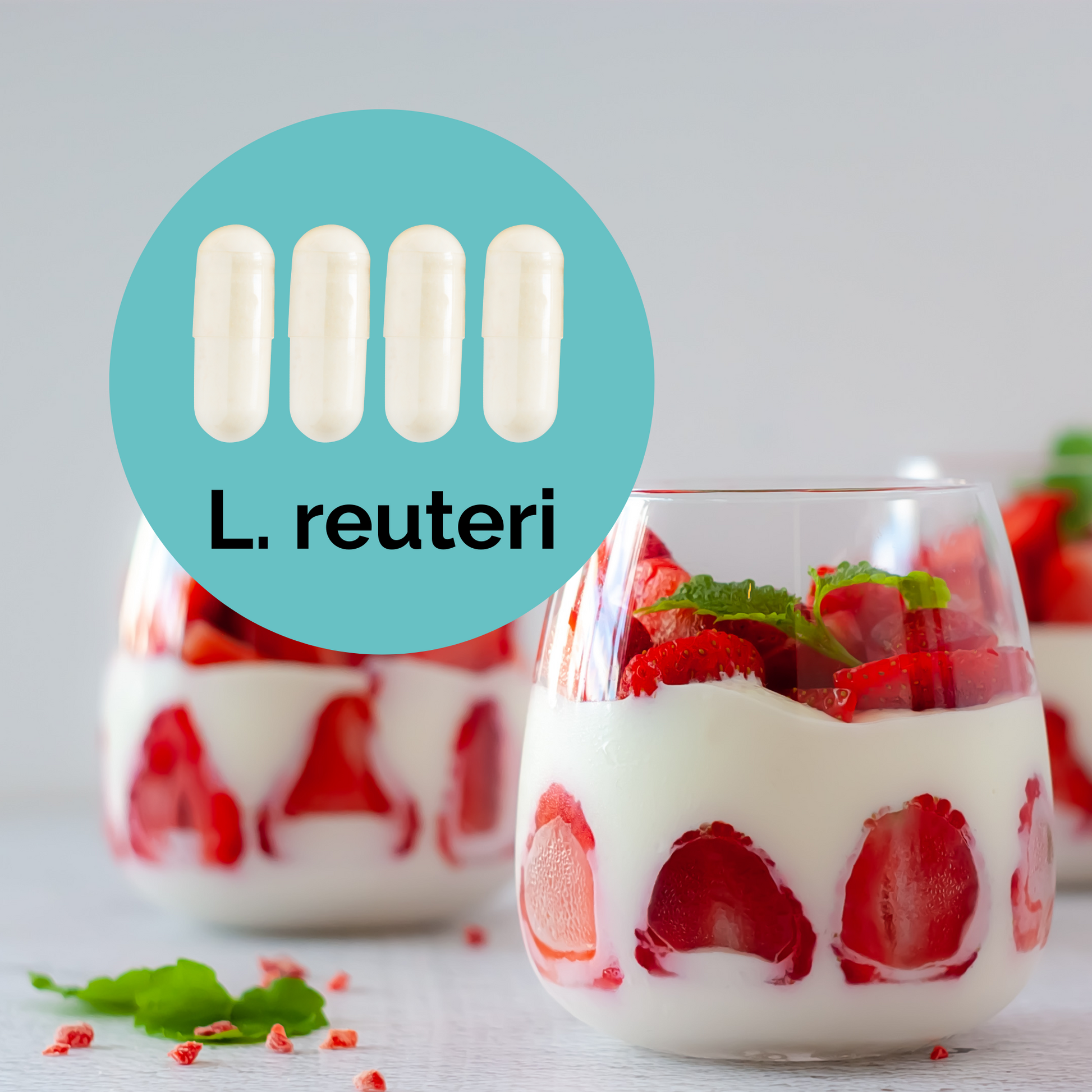 L. reuteri | 優格啟動套裝 | 啟動菌種 | 3入組合