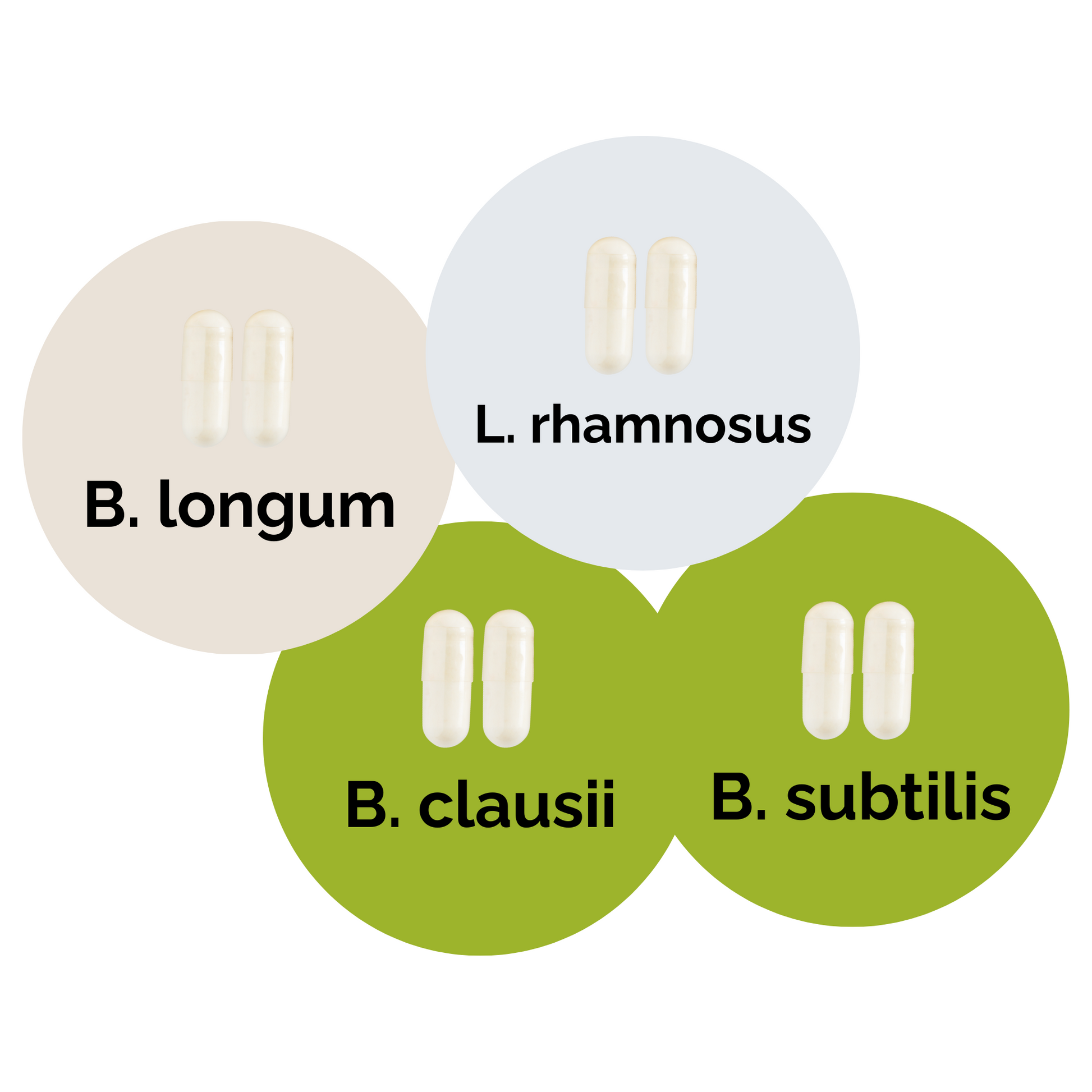 L. brevis + L. rhamnosus + B. subtilis + B. clausii | 優格啟動套裝 | 啟動菌種 | 3入組合
